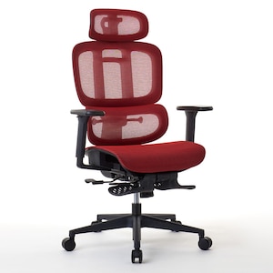 ROOMWORKS(���[�����[�N�X)�b�I�t�B�X�`�F�A M5�V���[�Y ���@�\�t�����b�V�����[�N�`�F�A�i���b�h�j�bRM5-RD