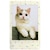 �x�m�t�C�����b�C���X�^���g�J���[�t�B���� instax mini�uSPRINKLES�v�i�X�v�����N���Y�j�bMINI_SPRINKLES_WW1