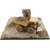 DIECAST MASTERS�b1/125 Cat 994K �z�C�[�� ���[�_ & 797 �~�j���O �g���b�N �W�I���}�Z�b�g�yDM85762�z�bDM85762 Cat 994K & 797 ��ݸ� �޵�Ͼ��