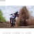 �\�j�[�b�f�W�^���J�����uCyber-shot RX100M7G�v�i�V���[�e�B���O�O���b�v�L�b�g�j�bDSC-RX100M7G