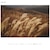 �\�j�[�bFE 50mm F1.2 GM�bSEL50F12GM