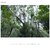 �\�j�[�bE 15mm F1.4 G�bSEL15F14G