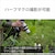 �\�j�[�bFE 70-200mm F4 Macro G OSS II�bSEL70200G2