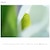 �\�j�[�bFE 70-200mm F4 Macro G OSS II�bSEL70200G2