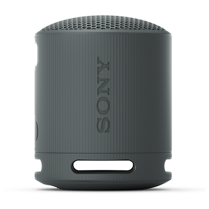SRS-XB100