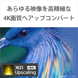 �A�b�v�R���o�[�g�@�\