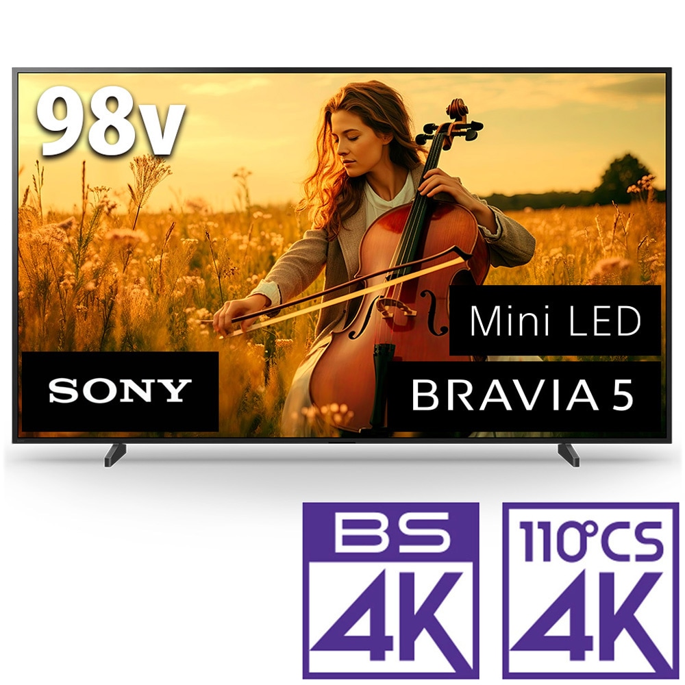 43型地上・BS・110度CSデジタル4Kチューナー内蔵 LED液晶テレビ