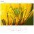 �\�j�[�bFE 100mm F2.8 Macro GM OSS�bSEL100M28GM