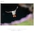 �\�j�[�bFE 400mm F4.5 GM OSS�bSEL400F45GM