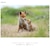 �\�j�[�bFE 400mm F4.5 GM OSS�bSEL400F45GM