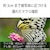 �\�j�[�b�f�W�^���J�����uCyber-shot RX10M5�v�bDSC-RX10M5