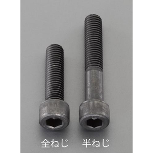 �G�X�R�bM12�~25mm (�����x�E������) �Z�p���t�{���g(1�{)�bEA949DN-2025