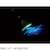 ���O�[�b�[�d��UV�n���f�B���C�g (UV LED)�bLETC366UV