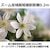 �L���m���bRF14-35mm F4 L IS USM�bRF14354LIS