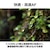 �L���m���bRF14-35mm F4 L IS USM�bRF14354LIS