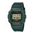 �J�V�I�b�y�������K�i�zG-SHOCK�i�W�[�V���b�N�j�bDW-5600RB-3JF