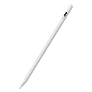 �G���R���b�^�b�`�y�� �X�^�C���X�y�� �[�d�� USB Type-C �}���[�d ���C�z�� �����p�y����2�t�� �I�[�g�I�t�@�\�i�z���C�g�j�bP-TPACST05WH