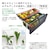 �����b670L 6�h�A�①��(�o�C�u���[�V�������[�u�O���[)�bR-GXCC67X-H