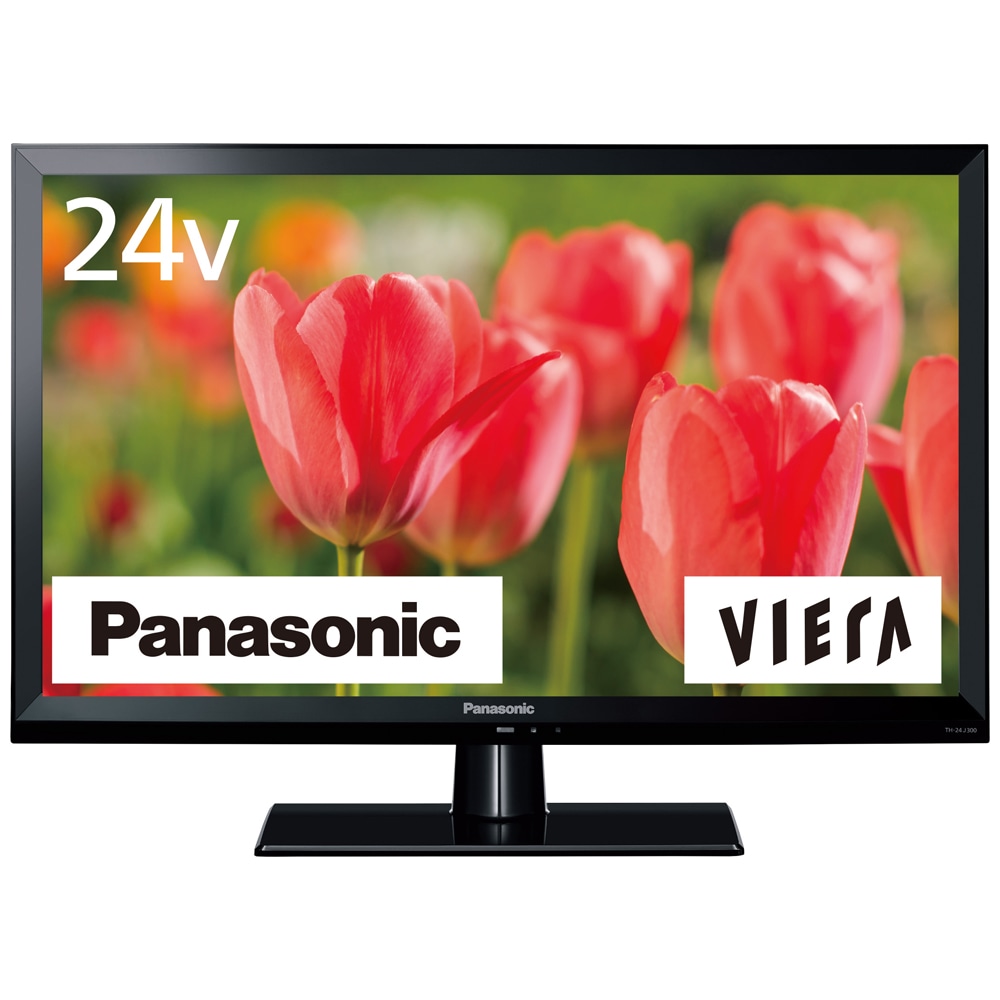 Panasonic VIERA 液晶テレビ TH-24D305 - テレビ