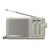 �p�i�\�j�b�N�bFM/AM 2�o���h���W�I�bRF-U156-S