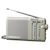 �p�i�\�j�b�N�bFM/AM 2�o���h���W�I�bRF-U156-S