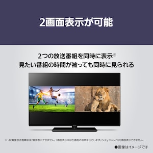 Z85Aイメージ11