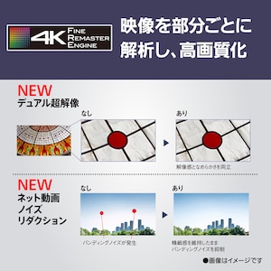 Z95Aイメージ8