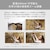 �p�i�\�j�b�N�b�f�W�^��4K�r�f�I�J�����uHC-X2100�v�i�u���b�N�j�bHC-X2100