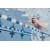 �e�h�m�h�r�i�t�B�j�X�j�b�X�C�}�[�Y�V���m�[�P��P�bFIN-105009112-50