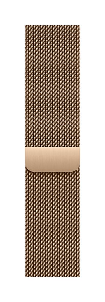 Apple Watch - 40mmケース用スペースブラックミラネーゼループ 40mmケース用スレートミラネーゼループ - Apple（日本）