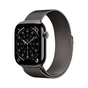 Apple�bAppleWatch Series 11�iGPS+Cell�j�@46mm�@�X���[�g�`�^�j�E���P�[�X�ƃX���[�g�~���l�[�[���[�vM/L�bMFD44J/A