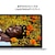 Apple�b13�C���`MacBook Neo: 6�R�ACPU��5�R�AGPU�𓋍ڂ���Apple A18 Pro�`�b�v, 8GB, 512GB SSD, Touch ID - �V���o�[�bMHFC4J/A