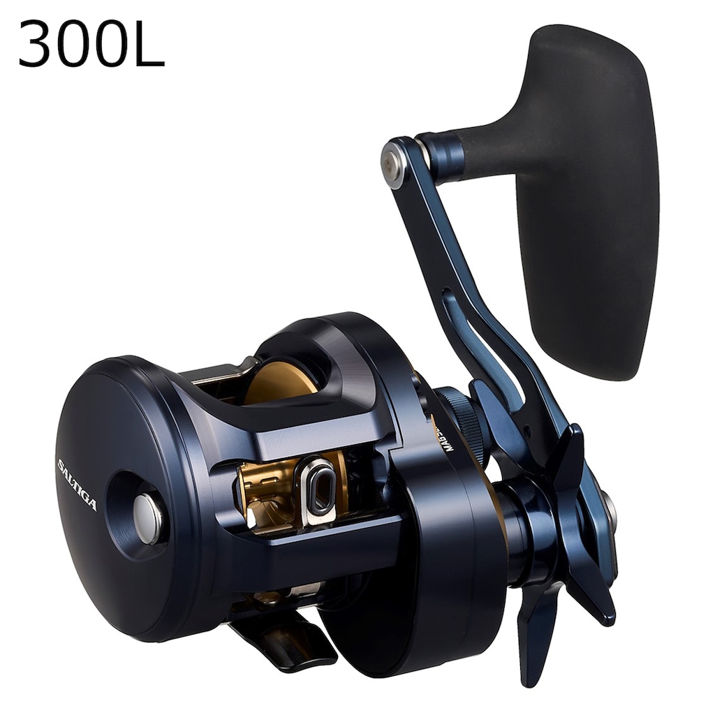 DAIWA（釣り） ダイワ ジギングリール ティエラ LJ IC 200HL 左