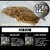 �_�C���bUVF PE�f�����Z���T�[�~12EX+Si3 200m(1��/����22lb)���C���O���[���bUVF PE�ޭ׾ݻ��~12EX+Si3 200m(1�޳)ײѸ�ذ�