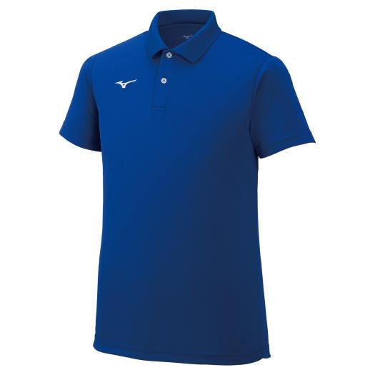 POLO RALPH LAUREN ポロ・ラルフローレン ビッグポニー 星条旗
