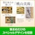 �\�[�X�l�N�X�g�b�M�܂�Ver.37 �A�b�v�O���[�h�E�抷�Ły�p�b�P�[�W�Łz�b�����37�����ض�-W