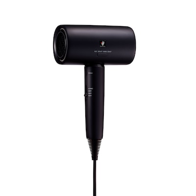 �V���[�v�^Plasmacluster Beauty�^IB-P802