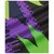 ���l�b�N�X�b���j�Z�b�N�X �Q�[���V���c�i�p�[�v���E�T�C�Y�FXO�j�bYO-10744-039-XO