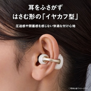 �p�i�\�j�b�N�@�C���[�J�t�^���C�����X�C���z��