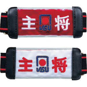 �j�`���[�b�x���g���r�́i�叫�j�bNTY-UPM3R