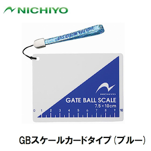 �j�`���[�bGB�X�P�[���J�[�h�^�C�v(�u���[)�bNTY-GBS-B