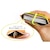 ZENUS�bMasstige E-Cork �}���`�|�[�`�i�l�I���C�G���[�j�bZ2593I5C