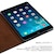 ZENUS�biPad Air�i����j/iPad 9.7�C���`�i��5����/��6����j�p�@�蒠�^�P�[�X Masstige A-Cork Diary�i�O���[���j�bZ2860IPA