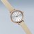 BERING�b�y�������K�i�zClassic Mini Japan Limited ���{�ʒ����f��