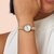 BERING�b�y�������K�i�zClassic Mini Japan Limited ���{�ʒ����f��