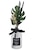 KEY STONE(�L�[�X�g�[��)�b�{�^�j�J���f�B�t���[�U�[�iDE044204.�I�[�V�����u���[�Y�j�bBF011378-1A-2A
