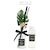 KEY STONE(�L�[�X�g�[��)�b�{�^�j�J���f�B�t���[�U�[�iDE044204.�I�[�V�����u���[�Y�j�bBF011378-1A-2A