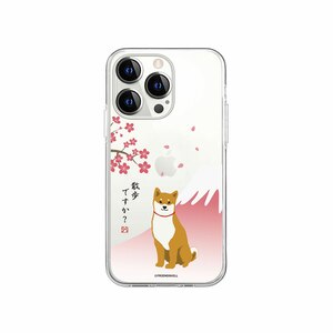 abbi�b[�������C�Z���X�i] iPhone 14 Pro�p ���΂�����\�t�g�N���A�P�[�X�i������j�bABF24235I14P