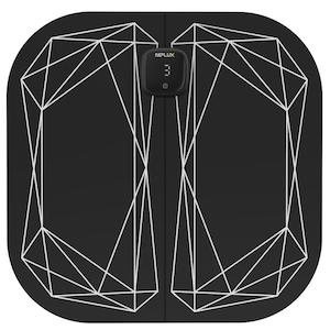 NIPLUX�b�r�pEMS�^����bNP-LF23BK