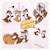 �o�[�h�b�`�b�v���f�[�������t�����z�c�J�o�[ 3�_�Z�b�g �V���O��(�s���P�[�X�E�|���J�o�[�E�V�[�c)�bSD-23-108-32